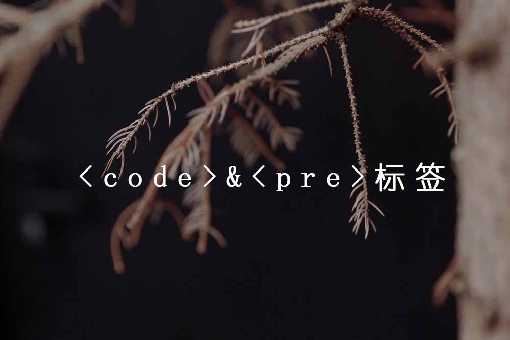 <code>标签和<pre>标签