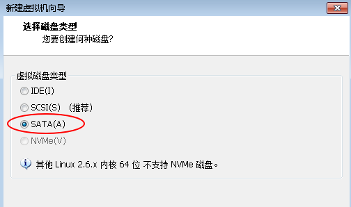 选择磁盘类型