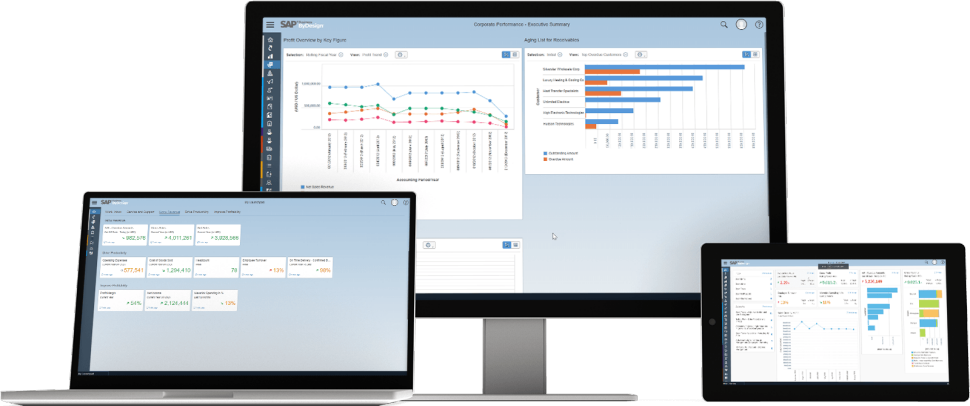  SAP Business ByDesign 模块：财务 