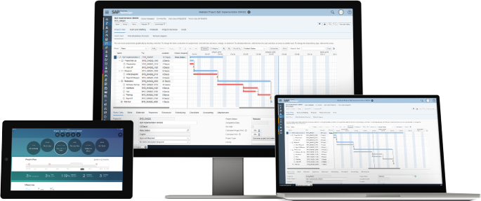 SAP Business ByDesign 项目管理