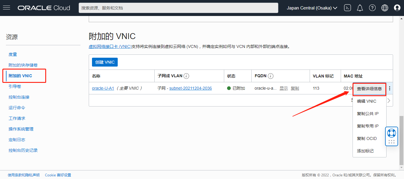 附加的VNIC